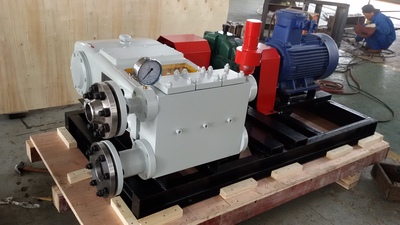 Slurry Pump (2)