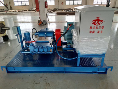 High Pressure Cleaning Pump (5)